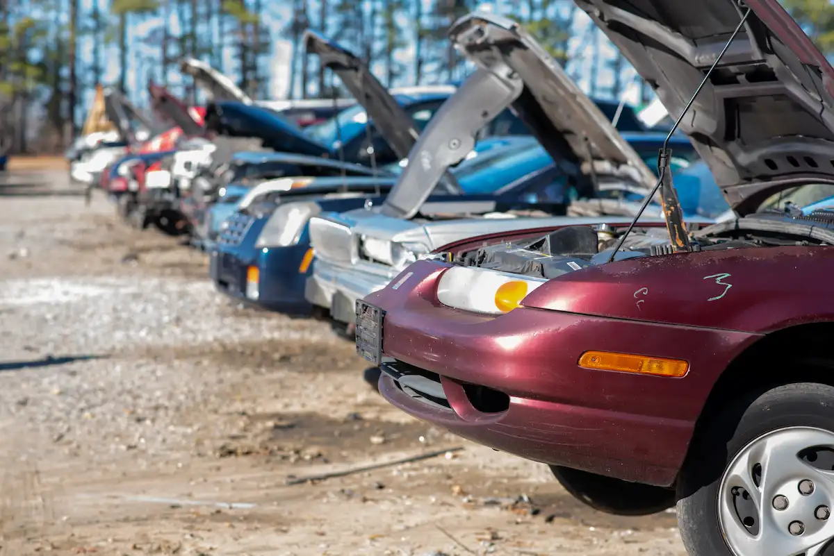 DSC_8899 Row of vehicles at a self-serve salvage yard