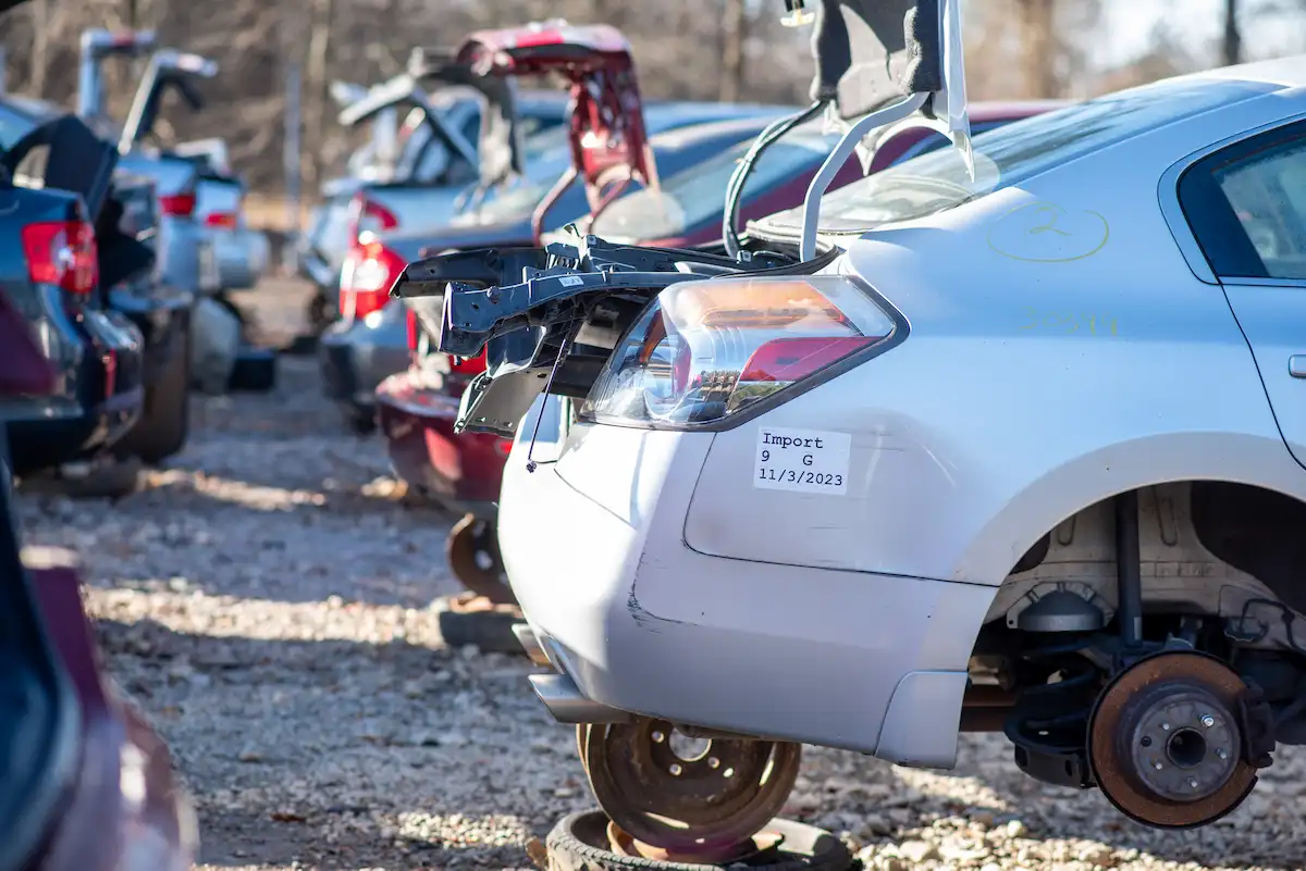 Row of vehicles at a self-serve salvage yrd